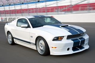 2011_-ford_shelby_-gt350_3